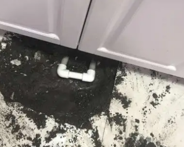 恩阳查漏水哪家好
